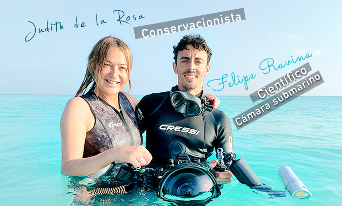 Semana Especial Protección de los Océanos