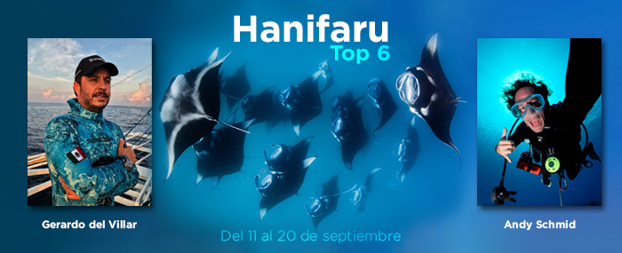 Hanifaru Top 6 con especialistas internacionales