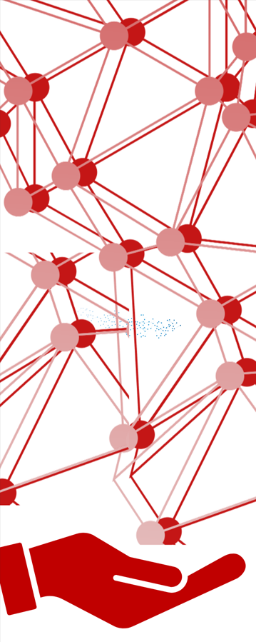 IA EN LOS SERVICIOS OFRECIDOS POR ANIMSA A LAS ENTIDADES LOCALES