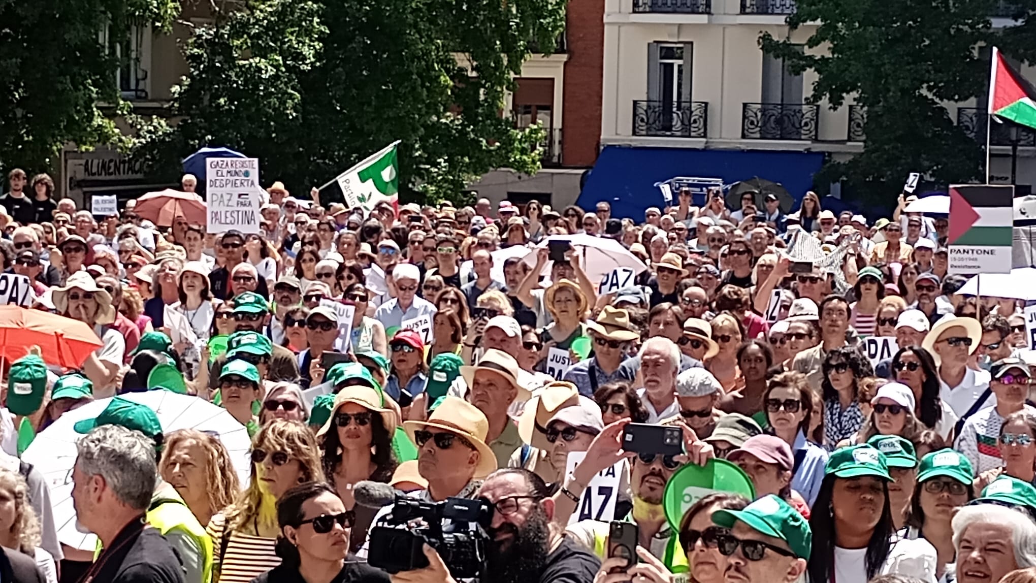PararLaGuerra.jpeg
