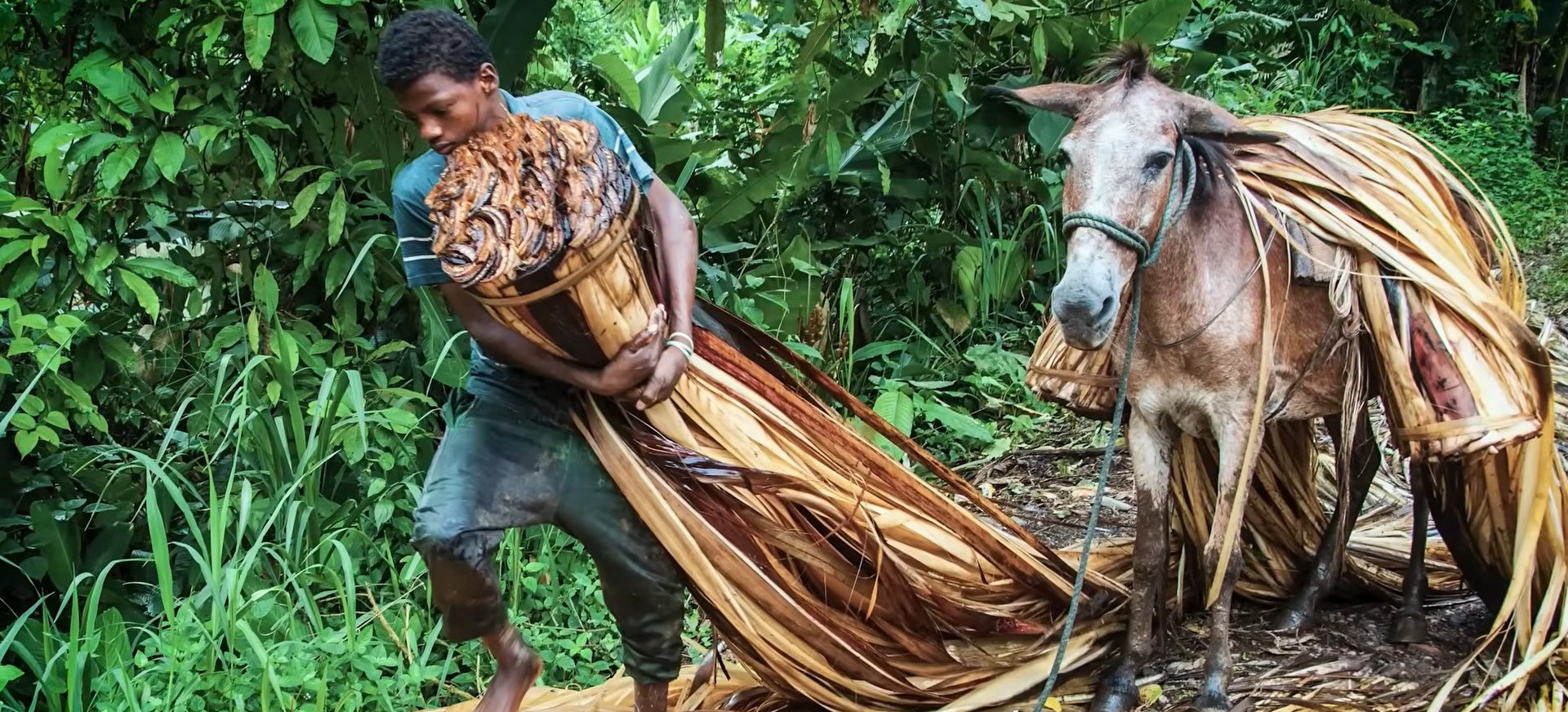 Esclavitud en Ecuador