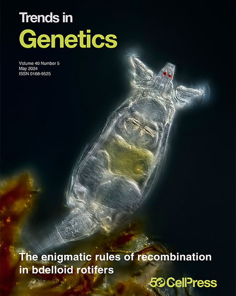 The role of omics in improving the orphan crop tef