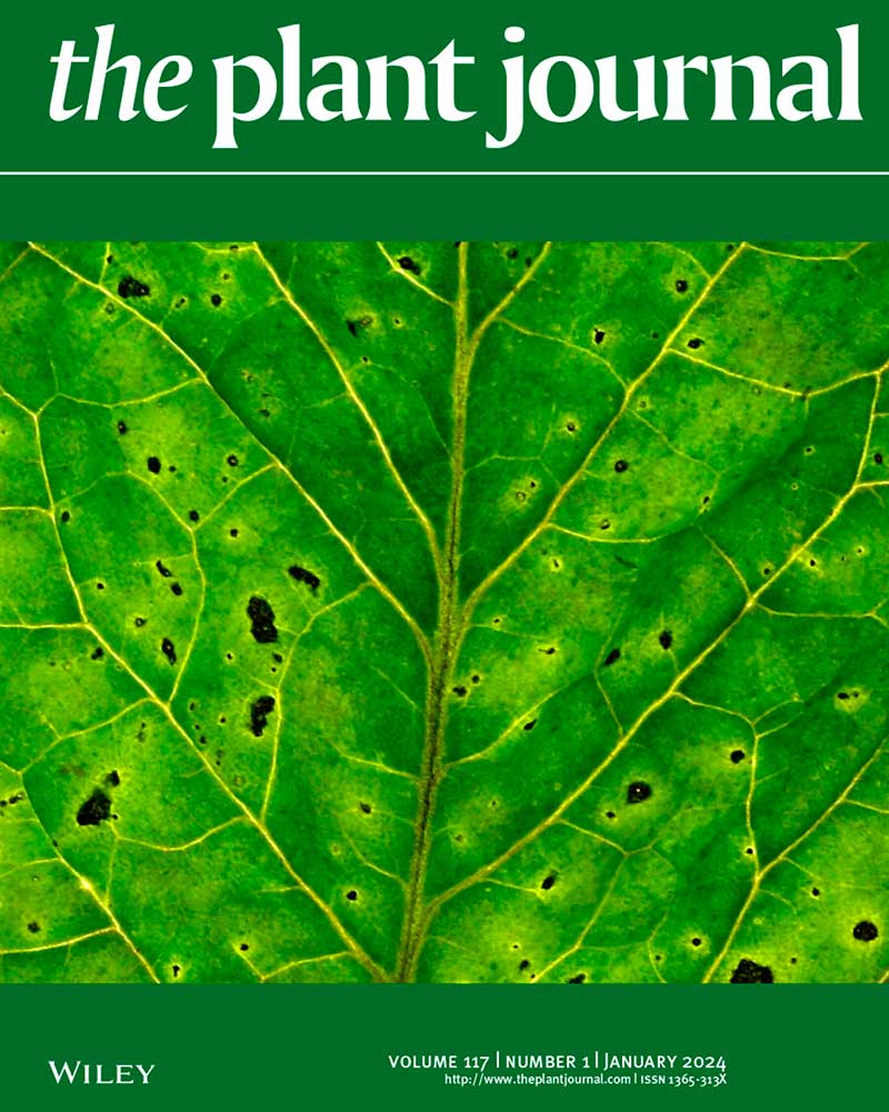 MINI-AC: inference of plant gene regulatory networks using bulk or single-cell accessible chromatin profiles