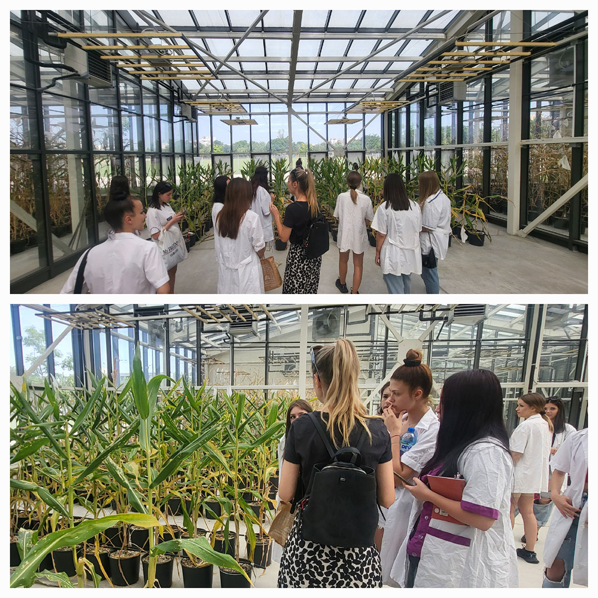 CPSBB’s strategic contributions drive BOOSTER’s outreach growth in 2024