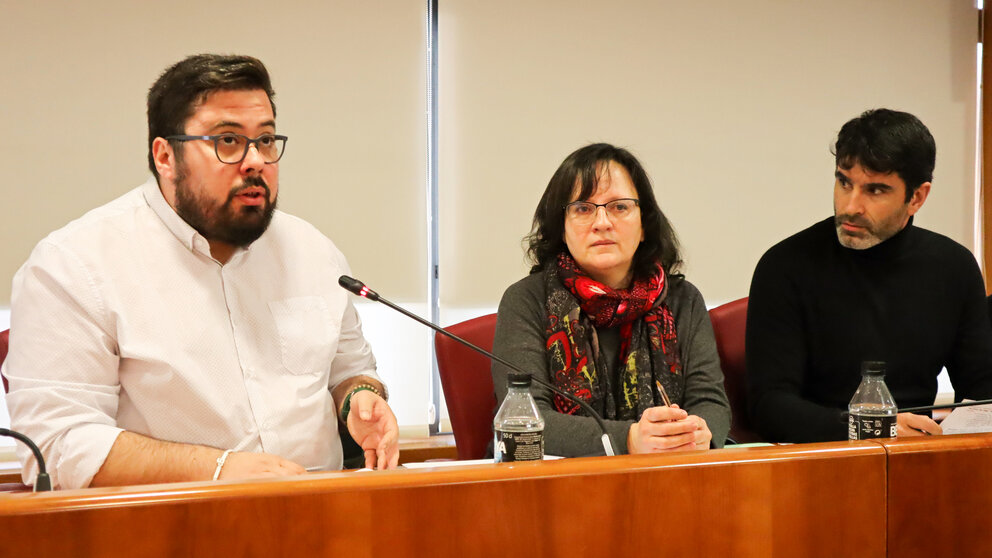 pleno.jpg