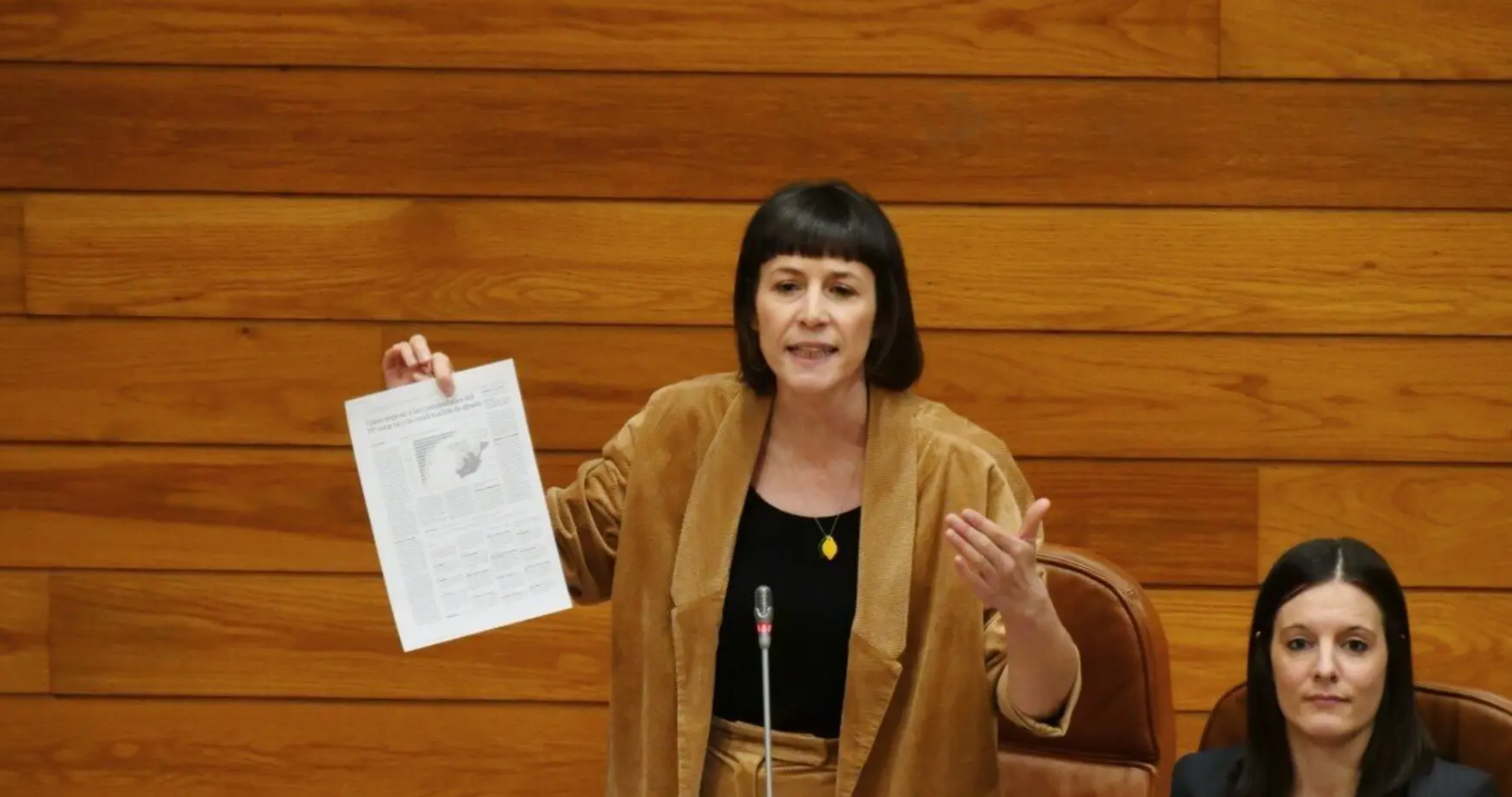 Ana_Pontón.png