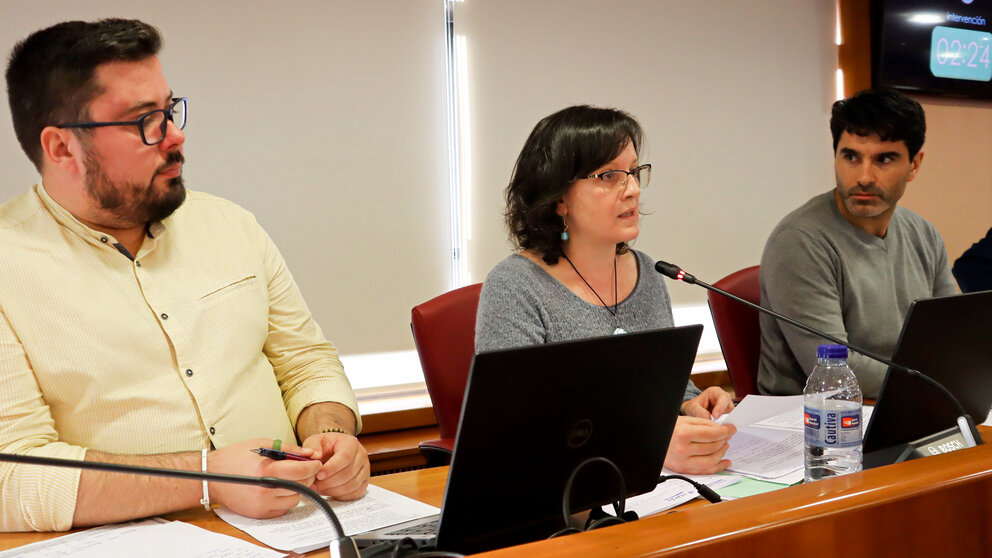 pleno.jpg