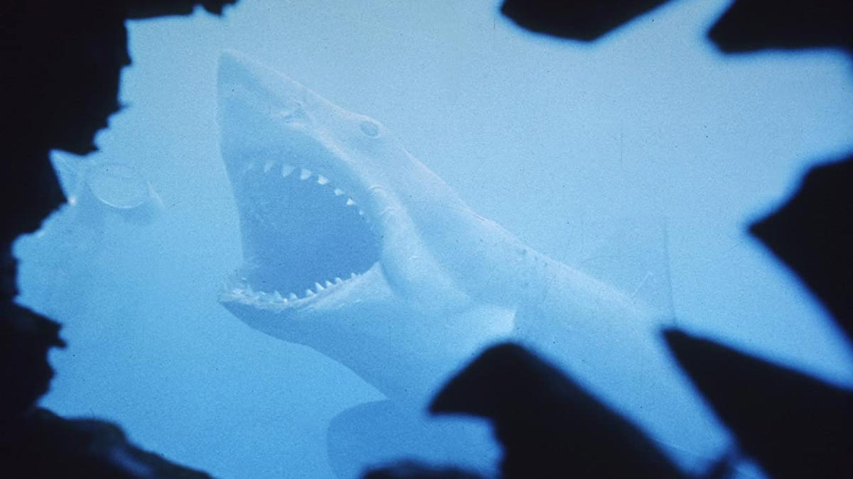 Filosofía pandémica en el 45 aniversario de Tiburón | «Salvad a los tiburones, y podremos salvar los océanos»