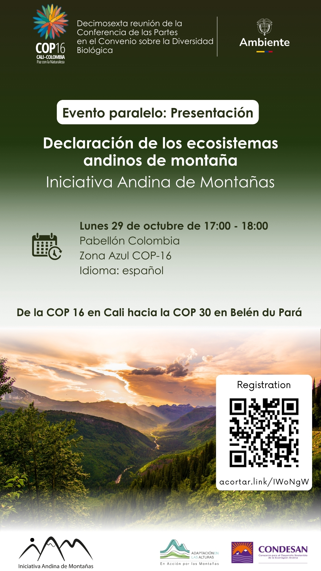 Declaracion_IAM.jpg