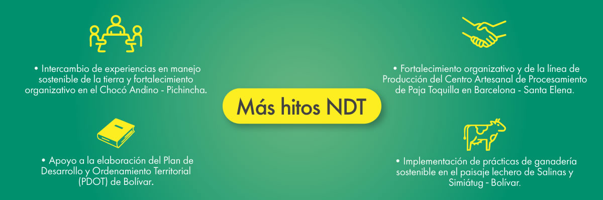 Hitos2.jpg