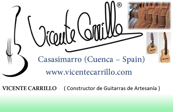 web_vicentecarrillo.png