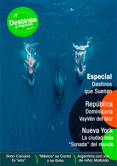 Plantilla-portadas-magazine-28.gif