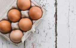 huevo y seguridad alimentaria