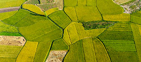 AGROALIMENTARIO.jpg