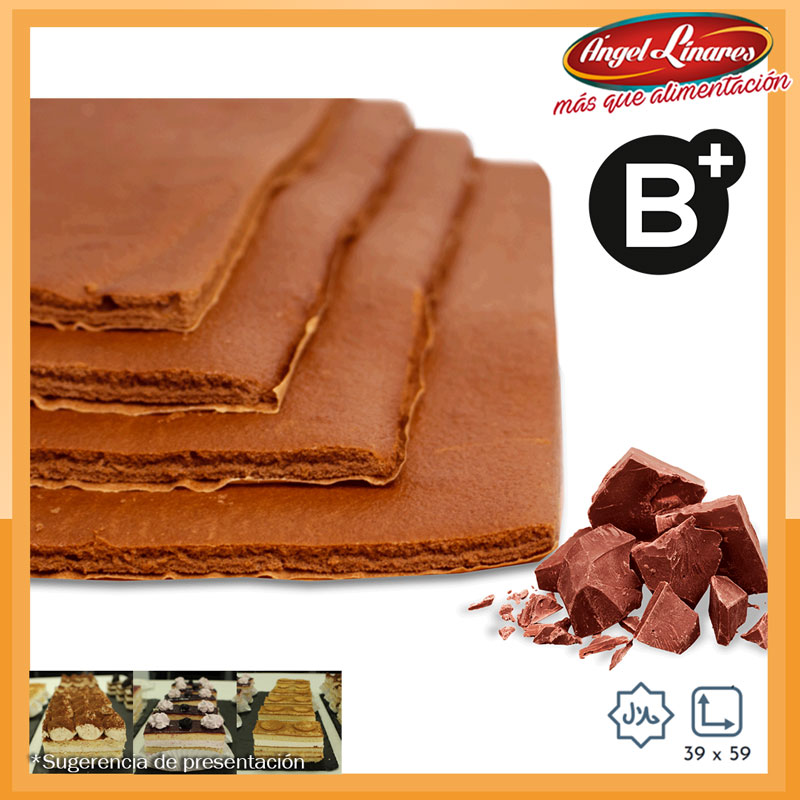 Plancha de bizcocho rectangular flexible sabor chocolate. El formato de este producto es de 10.0 unidades